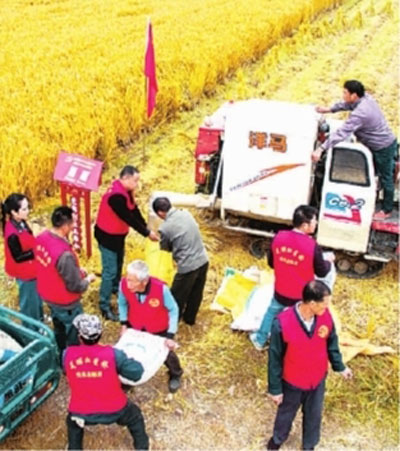 【领航新征程】青年兴则国家兴 青年强则国家强 【领航新征程】青年兴则国家兴 青年强则国家强