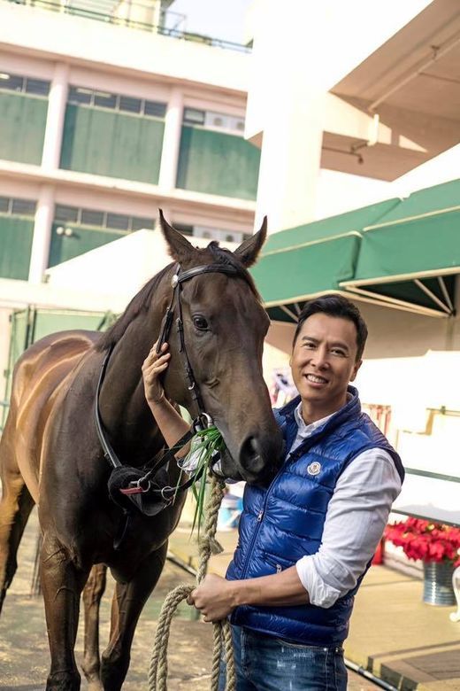 ���ӵ�������Ӱ