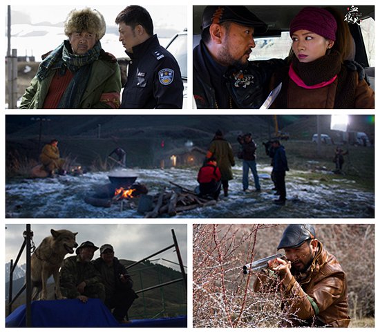 �����Ӱ��Ѫ��Ȯ����ӳ