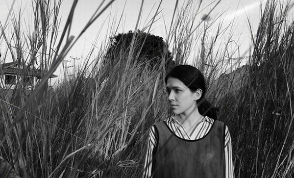 �Ʋ��������Ƭ